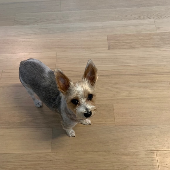 MY LITTLE BABY 🥰 - Picture 8 of 16